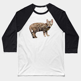 Brown Bengal Cat Blep Baseball T-Shirt